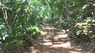 Islas de la Salvación (Iles du Salut), Guayana Francesa