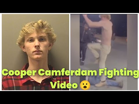 The Hot Chick - Pillow Fight