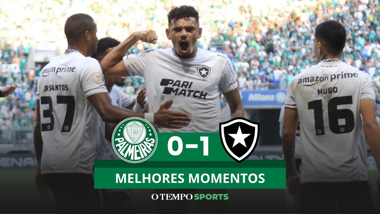 PALMEIRAS 0 X 1 BOTAFOGO - Veja os melhores momentos do jogo - YouTube