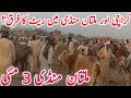 Today Latest Multan Cow Mandi For Qurbani 2026 Animals || Global Village Farming 