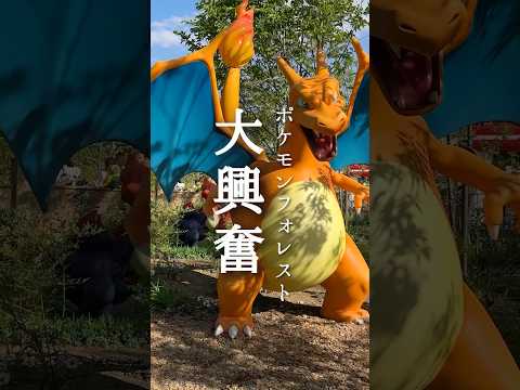 ポケモンフォレスト、大興奮！ #ポケパークカントー