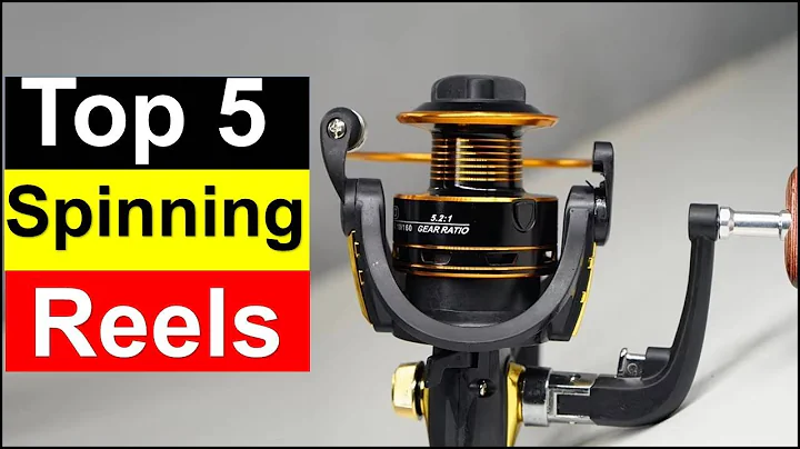 Best Spinning Reels  in [2025 ] Top 5