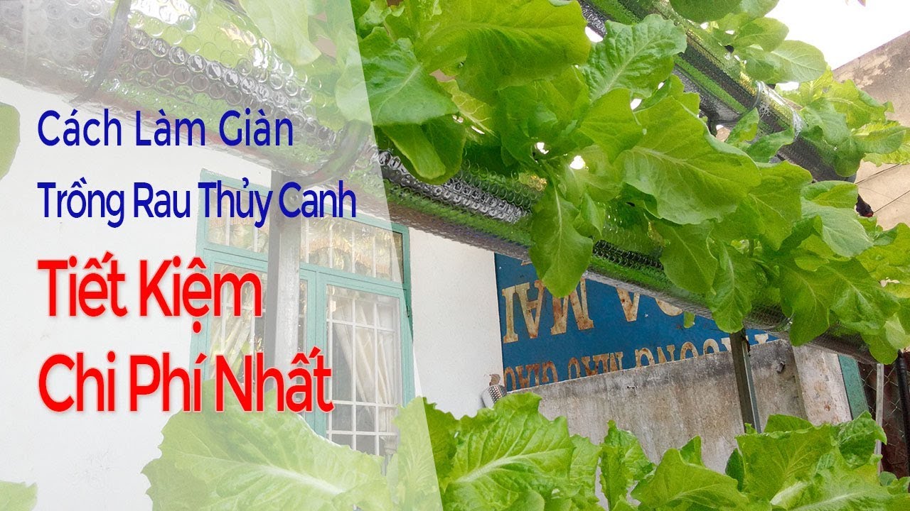 Cách làm giàn trồng rau thủy canh tiết kiệm chi phí nhất,thủy canh hồi lưu