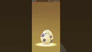 9 TIMES 10KM EGG HATCHING May 20 2017