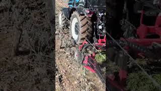 Interrow mulching brush to cut weeds in both vineyards and orchards ECOTRIM