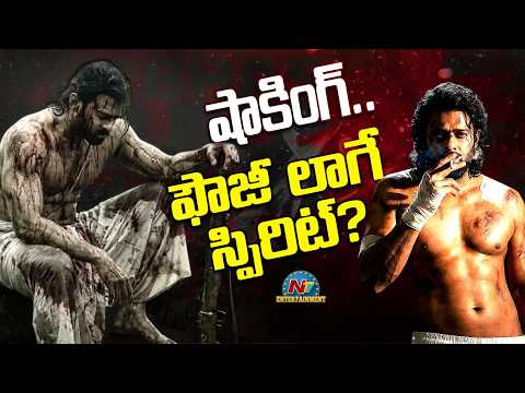 Will Spirit Release Get Postponed Like Fauzi? | Prabhas | Sandeep Reddy Vanga || @NTVENT