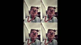 6c698507 4f7e 4249 b751 1cb01bd0deb6 #happy  #legit