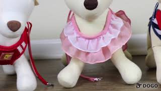 DOGO PET EasyGO Harness screenshot 2