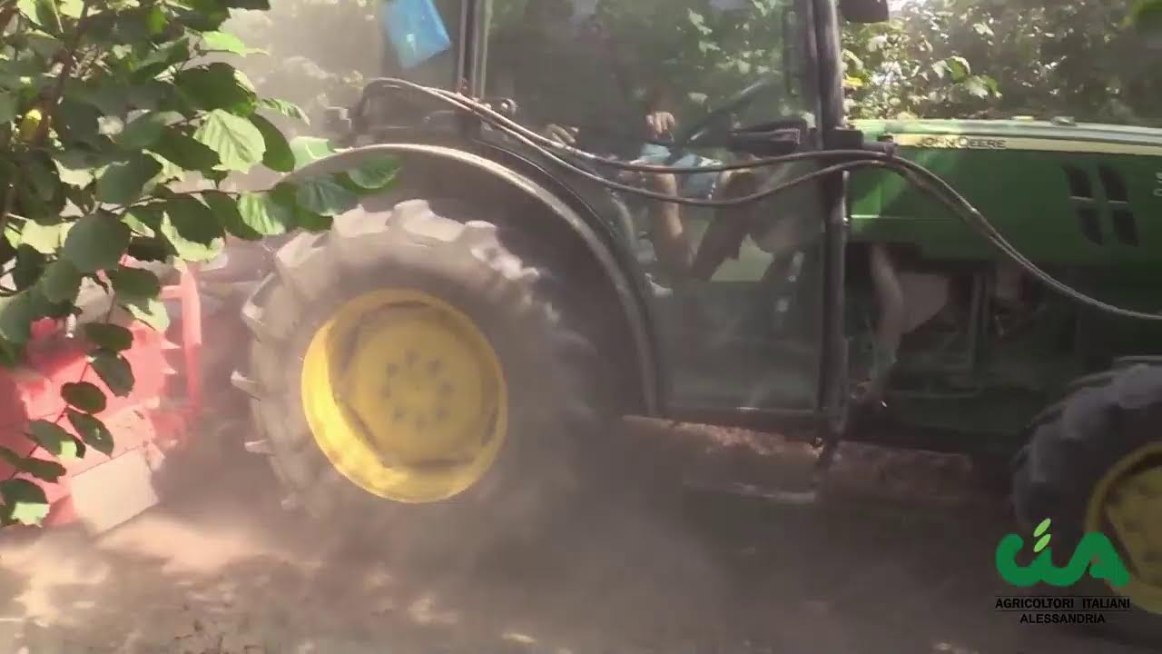 Nocciole: la raccolta 2024 a Sezzadio