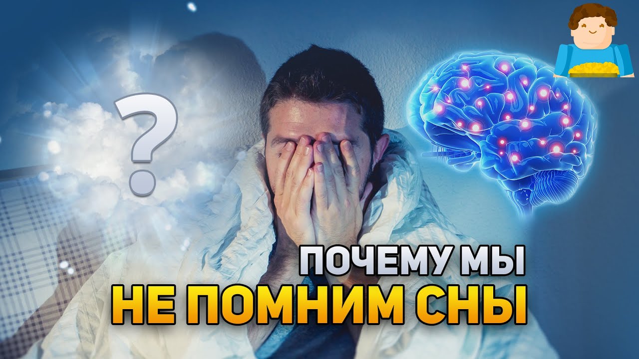 Почему вы не можете вспомнить свои сны? | Plushkin