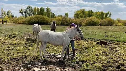Riding Cowgirl bareback