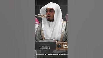 لا نكلف نفس الا وسعها || الشيخ ياسر الدوسري || قران كريم