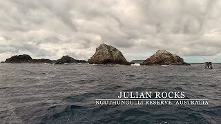 Tauchspot: Australien, Julian Rocks, (Nguthungulli)