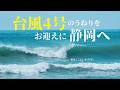 台風4号スウェル炸裂！静岡に行ったら波当てすぎました。
