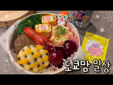 귀여움에 진심인 도시락🐰 로미 생일파티🎂 캠핑카 차박 용품 하울🚐 도쿄 맛집🍙 일본 휴게소 구경🍦