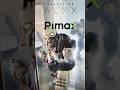Half-Life Alyx VR on Pimax Super through the lens Pimax Play 1.41 GPU Upscaling
