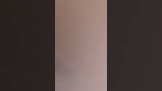 Lagi Lagi Si Caca Berulah Dengan Goyangannya