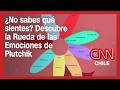 ¿No sabes qué sientes? Descubre la Rueda de las Emociones de Plutchik