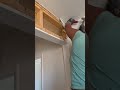 Drywall demo