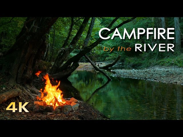 4K Campfire by the River - Relaxing Fireplace & Nature Sounds - Robin Birdsong  - UHD Video - 2160p class=