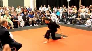 Trace Megellas 2013 Creative Weapons, ATA World Champion