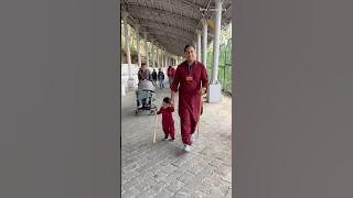 Vaishno Devi Yatra 2025 || Vaishno Devi Yatra Live || Tarakot Marg Yatra