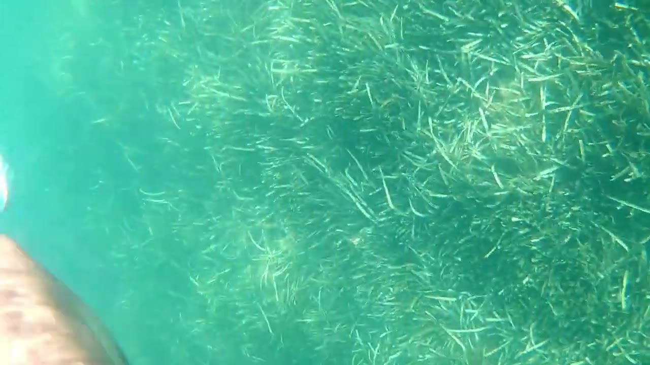 Urla - Çeşme Altı Sahil / 2021