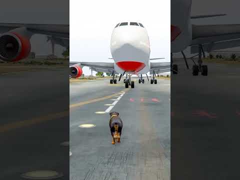 A Dog Spontaneously Arrived When an Airplane Was Landing | Grand Theft Auto V ||