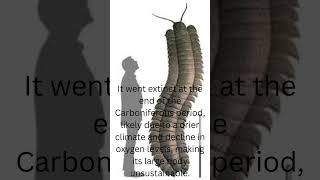 Things You Didn't Know About Arthropleura part 2 #creature  #animal #extinct #extinction
