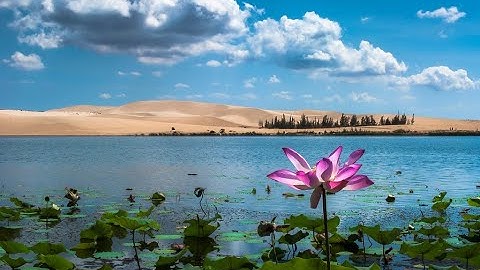 Khám phá Bàu Trắng – nơi được mệnh danh là “sa mạc Sahara ở Việt Nam”