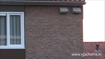 Gierzwaluw zoekt oude invliegplaats na renovatie Lijsterbesstraat, Beek Ubbergen