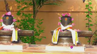 Unveiling the Mystique: The Sacred Presence of Shiv Ling in  Home