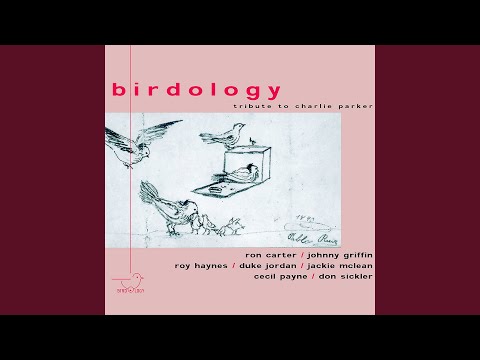 Chasing the Bird (Live)