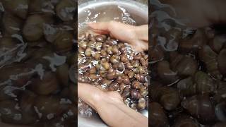 Tharoi Thongba first Try 🥰😍😇#cooking #manipuricookingchannel