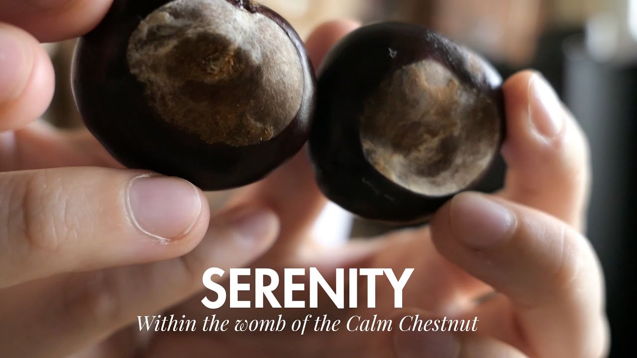 ASMR Receive Calm Reiki Energy with Chestnut Celtic Healing