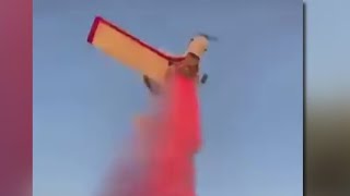 Pilot Dies During Gender Reveal Party