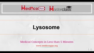 Information NEETPG-Topic-Lysosome -Physiology Guide