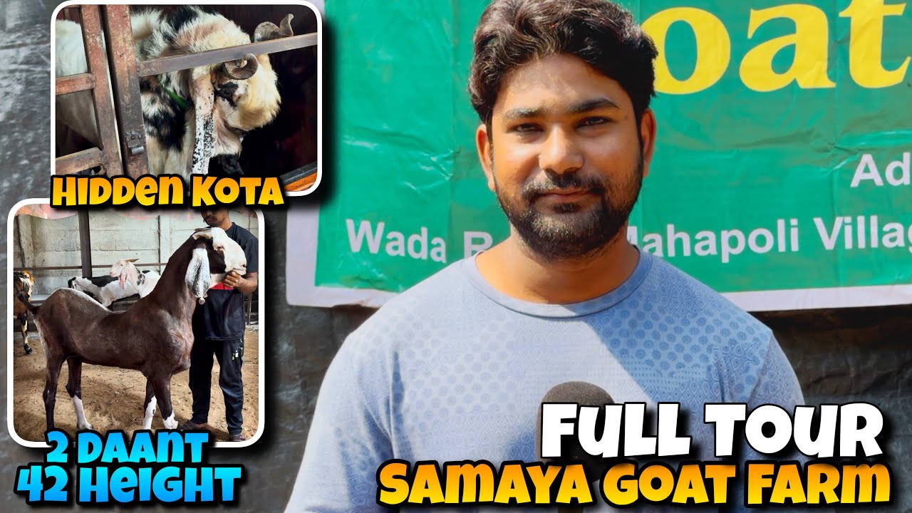 ПОЛНЫЙ ТУР ПО КОЗЬЕЙ ФЕРМЕ САМАЯ | САМЫЙ БОЛЬШОЙ ТУР В ИНДИЮ