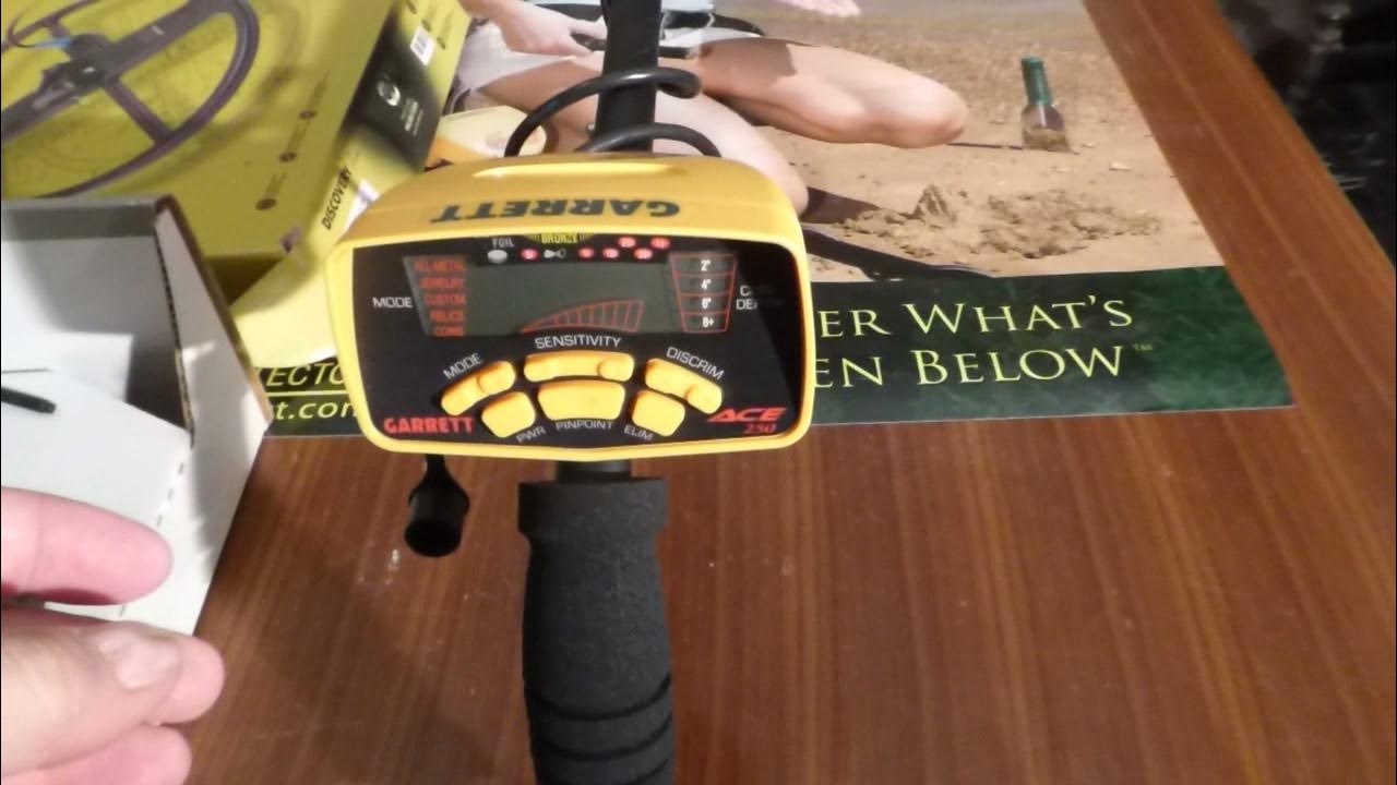 Ace 250 metal detector manual
