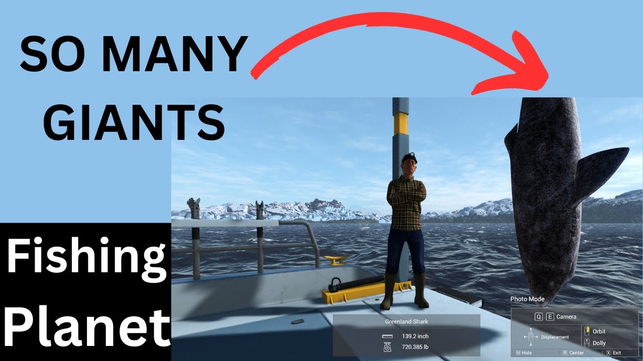 NEVER SEEN THIS MANY LARGE FISH! | FISHING PLANET