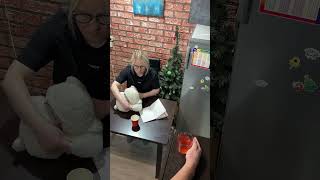 Cat mode, how to wean a cat from throwing things #gurvinya show