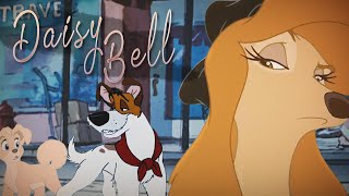 Daisy Bell - Dodger Company Animash