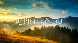 Le Pin Fondu - Documentar