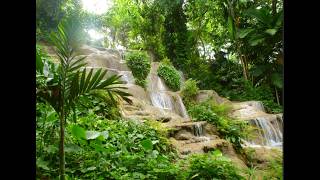 The Animal Exhibit A Konoko Falls And Park, Ocho Rios Jamaica