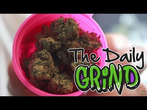 Daily Grind - Reloading on Dank