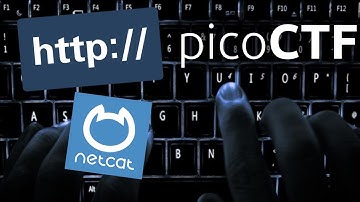 Manual HTTP Requests | Artisinal Handcrafted HTTP 3 [31] picoCTF 2018