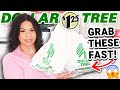 Dollar tree hidden gems  new finds you should know about