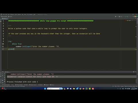 28-  Exercise 11 While Loop (Prompt Exception)