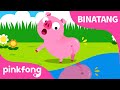 Pernahkah kau lihat ekorku  lagu binatang  lagu anak bahasa indonesia  pinkfong dan baby shark