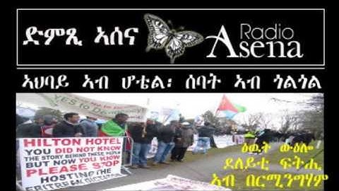 Voice of Assenna: Successful Demo by Eritreans for Change @ Hilton International, Birmingham